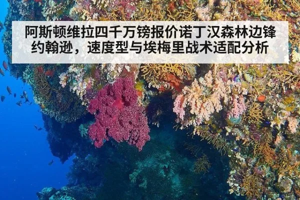 阿斯顿维拉四千万镑报价诺丁汉森林边锋约翰逊，速度型与埃梅里战术适配分析